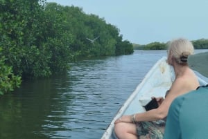 Картахена: Частное плавание в мангровых зарослях ГИД на АНГЛИЙСКОМ