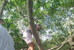 Cartagena: Prywatny rejs w namorzynach GUIDE in ENGLISH