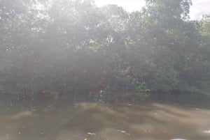 Cartagena: Prywatny rejs w namorzynach GUIDE in ENGLISH