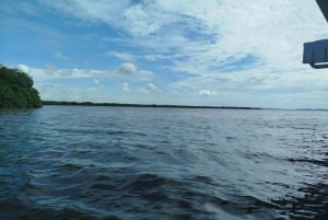 Cartagena: Prywatny rejs w namorzynach GUIDE in ENGLISH