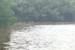 Cartagena: Prywatny rejs w namorzynach GUIDE in ENGLISH