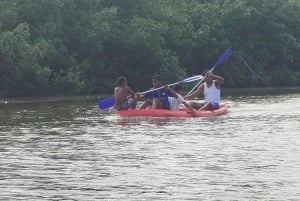 Cartagena: Prywatny rejs w namorzynach GUIDE in ENGLISH