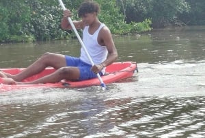 Cartagena: Prywatny rejs w namorzynach GUIDE in ENGLISH