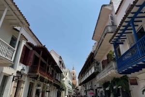 Картахена: Частная экскурсия по окруженному стеной городу и Гецемани