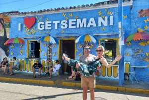 Картахена: Частная экскурсия по окруженному стеной городу и Гецемани