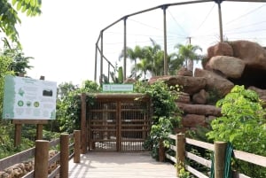 Cartagena: Trasporto privato e ingresso all'AVIARIO NAZIONALE