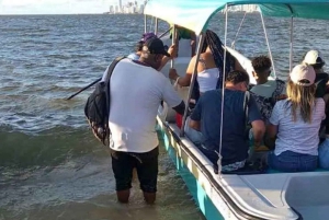 Cartagena: ILHA PUNTARENA com serviço de busca no hotel