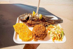 Cartagena: ILHA PUNTARENA com serviço de busca no hotel