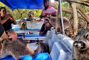 Cartagena: Isla Mapache +SNORKEL y Manglar +Foto y Almuerzo