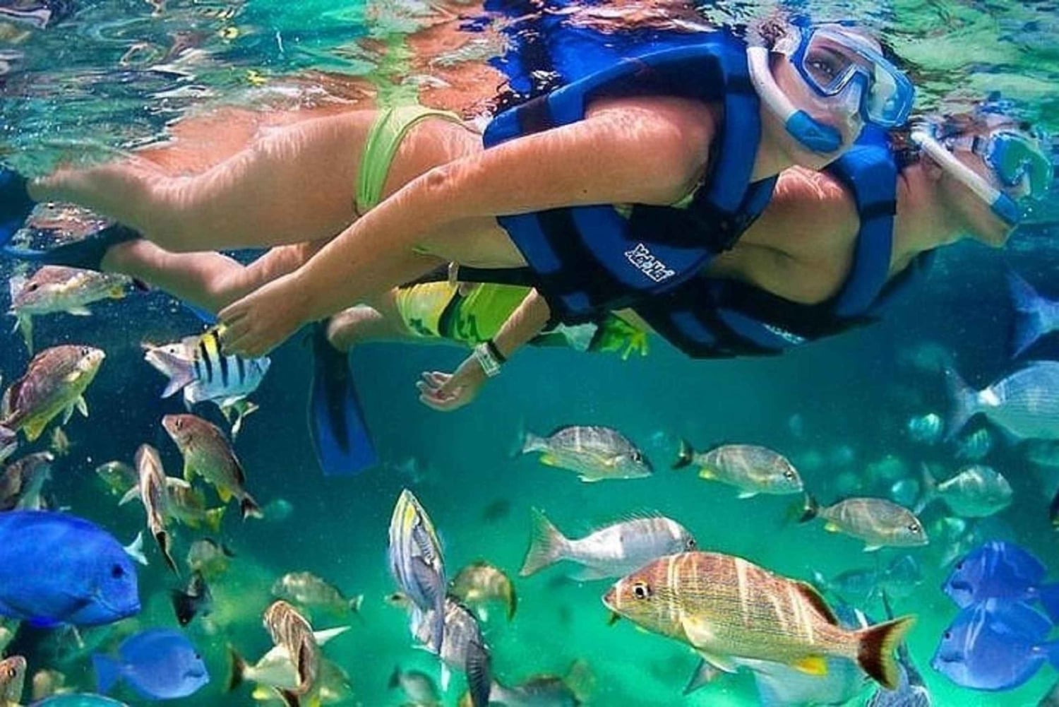 Cartagena: Snorkel en Isla Mapache, Manglar, Fotos y Almuerzo