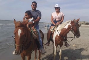 Cartagena: Monta a caballo y navega por el manglar