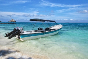 Картахена: частная однодневная поездка на остров Росарио и мангровые леса