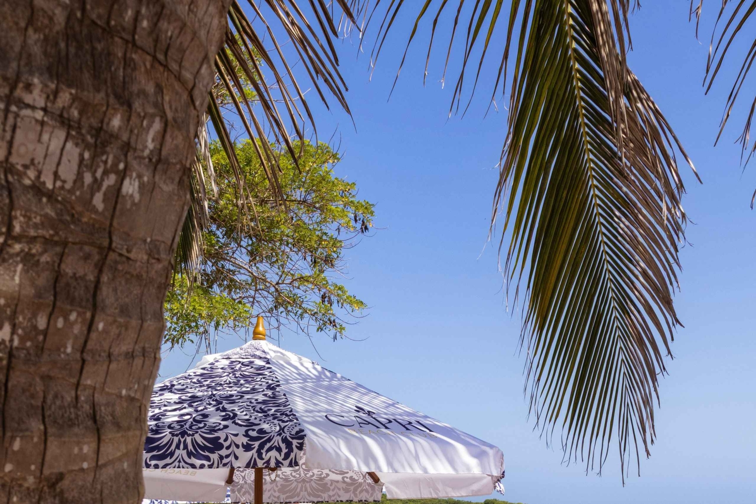 Kartagena: Rejs wycieczkowy statkiem po wyspach Rosario w Capri Beach Club