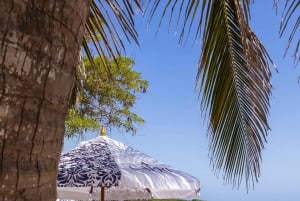 Cartagena: Rosario Islands Boat Tour in Capri Beach Club