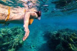 Cartagena: Rosario Islands by Boat with Snorkeling, Buffet, and Open Bar