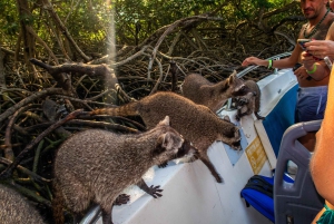 Cartagena: Rosario Islands by Boat with Snorkeling, Buffet, and Open Bar