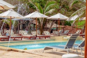 カルタヘナロサリオ諸島デイパス イビサ島ビーチクラブ