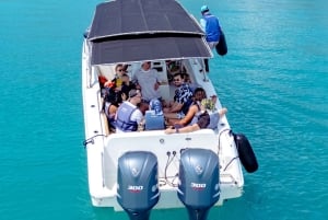 カルタヘナロサリオ諸島デイパス イビサ島ビーチクラブ