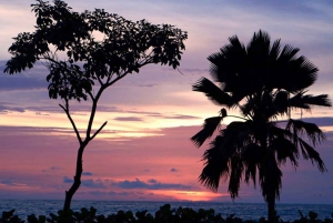 Cartagena: Rosario Islands Private Boat Tour