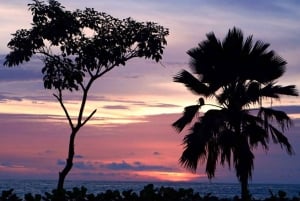 Картахена: частный лодочный тур по островам Росарио