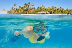 Cartagena: Rosario Oceanarium, Snorkel & Swim with Dolphins