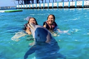 Cartagena: Rosario Oceanarium, Snorkel & Swim with Dolphins