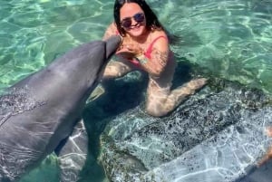 Cartagena: Rosario Oceanarium, Snorkel & Swim with Dolphins