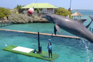 Cartagena: Rosario Oceanarium, Snorkel & Swim with Dolphins