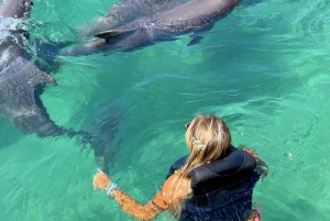 Cartagena: Rosario Oceanarium, Snorkel & Swim with Dolphins