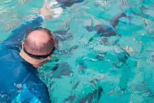 Cartagena: Rosario Oceanarium, Snorkel & Swim with Dolphins