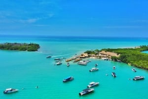 Cartagena: Rosario Oceanarium, Snorkel & Swim with Dolphins