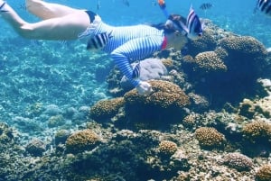 Cartagena: Rosario Oceanarium, Snorkel & Swim with Dolphins