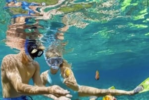 Cartagena: Rosario Oceanarium, Snorkel & Swim with Dolphins