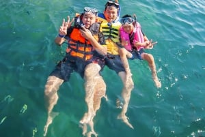 Cartagena: Rosario Oceanarium, Snorkel & Swim with Dolphins
