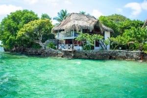 Cartagena: Rosario Oceanarium, Snorkel & Swim with Dolphins