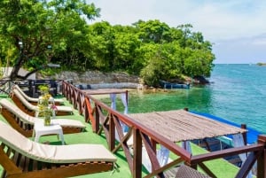 Cartagena: Rosario Oceanarium, Snorkel & Swim with Dolphins
