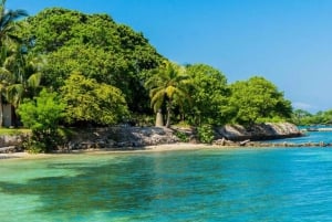 Cartagena: Rosario Oceanarium, Snorkel & Swim with Dolphins