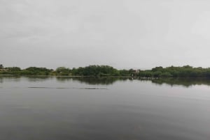 Картахена: Частное плавание в мангровых зарослях ГИД на АНГЛИЙСКОМ