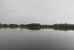 Cartagena: Sail in the mangroves of Cartagena
