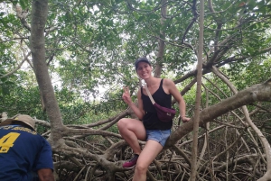 Cartagena: Sail in the mangroves of Cartagena