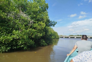 Cartagena: Sail in the mangroves of Cartagena