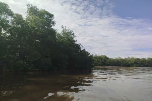 Cartagena: Sail in the mangroves of Cartagena