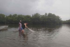 Cartagena: Sail in the mangroves of Cartagena