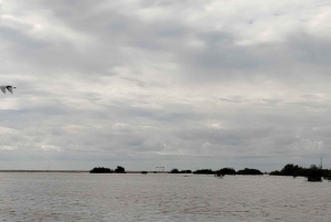Cartagena: Sail in the mangroves of Cartagena