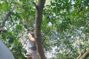 Cartagena: Sail in the mangroves of Cartagena