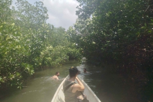 Cartagena: Sail in the mangroves of Cartagena
