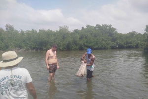 Cartagena: Sail in the mangroves of Cartagena