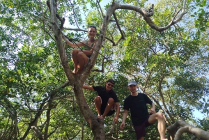 Cartagena: Sail in the mangroves of Cartagena
