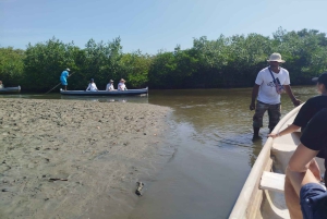 Cartagena: Sail in the mangroves of Cartagena