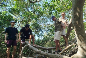 Cartagena: Sail in the mangroves of Cartagena
